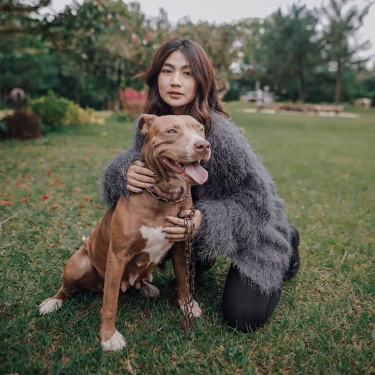 Hunderassen Sternzeichen