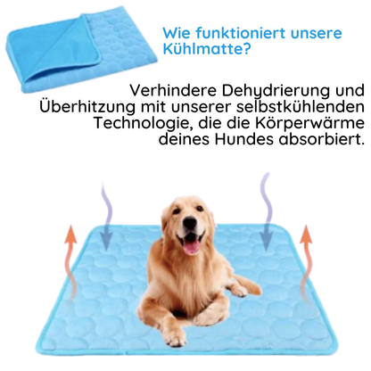 Ein Golden Retriever sitzt fröhlich auf einer blauen Kühlmatte – nimmt Körperwärme auf und schützt vor Überhitzung.