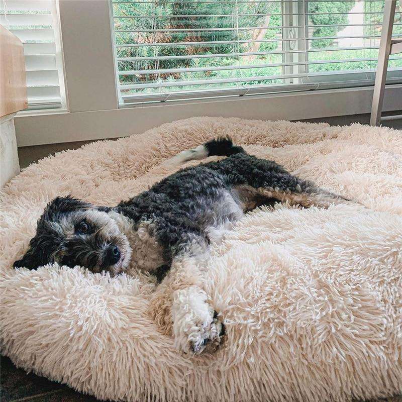 MrFluffyFriend – Premium-Hundebett